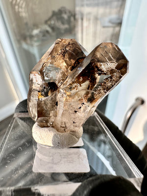 Smokey Fenster Scepter Quartz From Mt Goboboseb Namibia #9