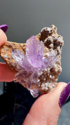 Amethyst "Flowers" with Sceptres, Reverse Sceptres & Calcite Associations on Matrix from "La Troje" Mine in Veracruz, Mexico (New Find!)