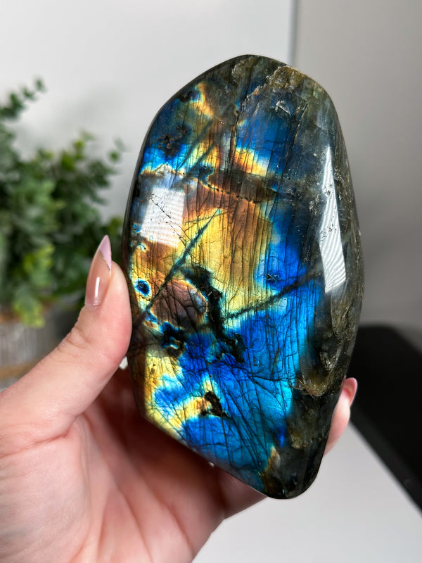 Labradorite Freeform From Madagascar