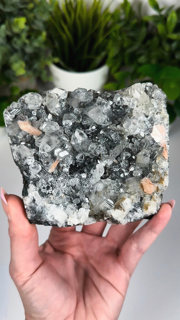 Black Diamond Apophyllite with Stilbite • Large Self-Standing Apophyllite, Stilbite & Black Chalcedony Crystal Specimen from India