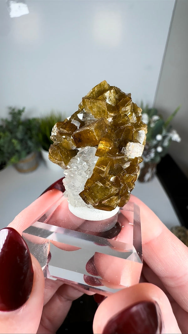 Siderite & Quartz - Damon and Pythias Mine, Washington, USA