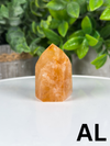 Golden Healer Towers From Brazil • Choose Your Own