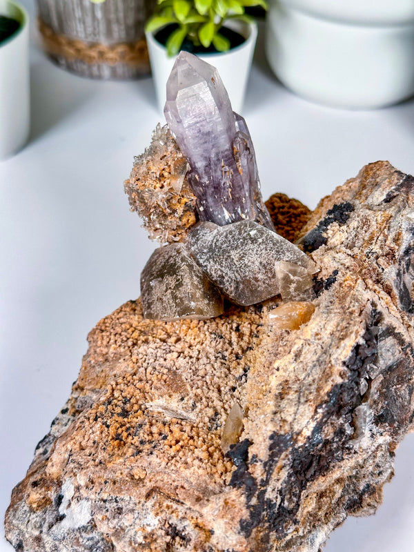 Old Stock (1980's) Guerrero Amethyst "Bowties" On Matrix with Dogtooth Calcite • Amatitlán, Eduardo Neri Municipality, Guerrero, Mexico