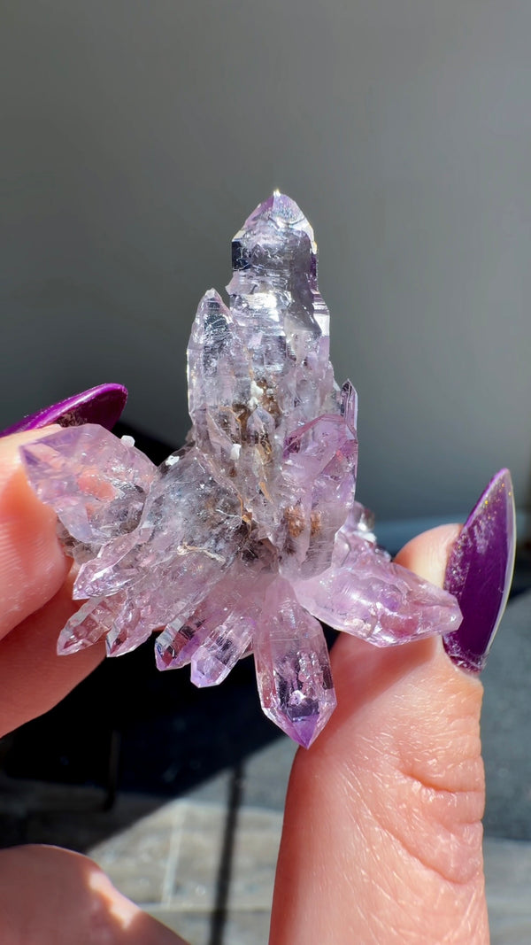 Amethyst "Flowers" with Sceptres, Reverse Sceptres & Calcite Associations on Matrix from "La Troje" Mine in Veracruz, Mexico (New Find!)