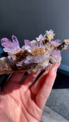 Amethyst "Flowers" with Sceptres, Reverse Sceptres & Calcite Associations on Matrix from "La Troje" Mine in Veracruz, Mexico (New Find!)