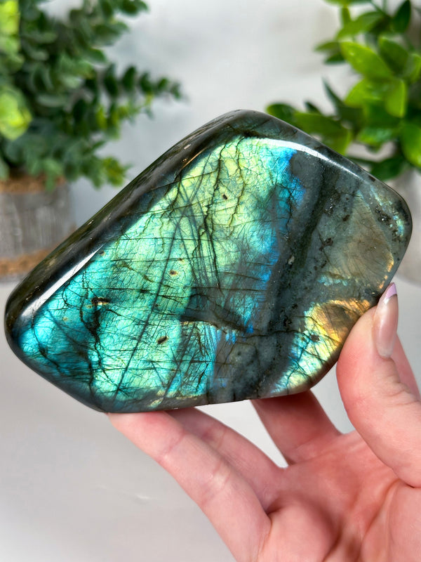 Labradorite Freeform From Madagascar