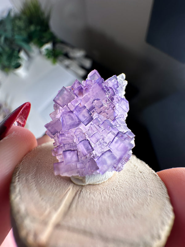 Fluorite from Tule Mine, Múzquiz Municipality, Coahuila, Mexico • ONE Intuitively Selected Múzquiz Fluorite Specimen