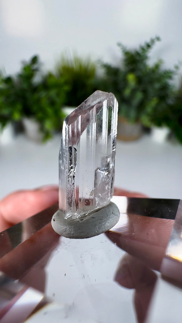 Gem Danburite Specimen from Aurora Mine, Charcas, San Luis Potosí, Mexico