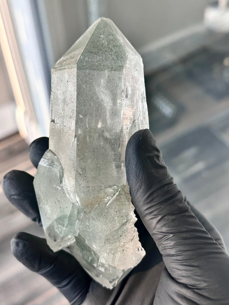 XL Double Terminated Chlorite Quartz From Manihar Mine, Himachal Pradesh, India