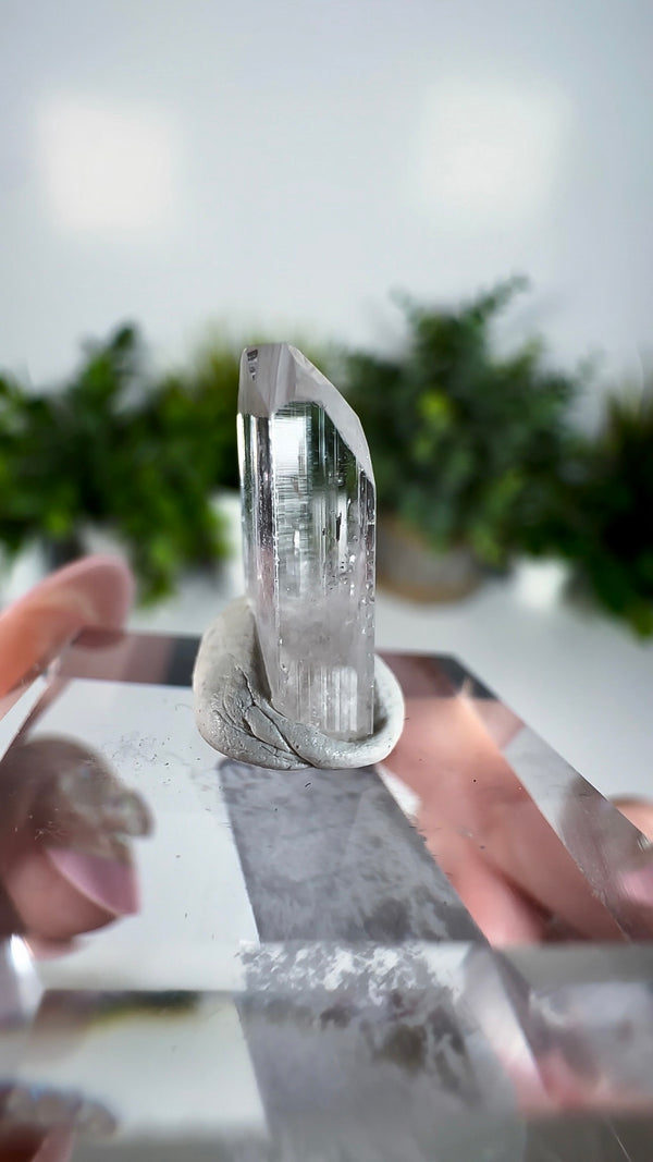 Gem Danburite Specimen from Aurora Mine, Charcas, San Luis Potosí, Mexico