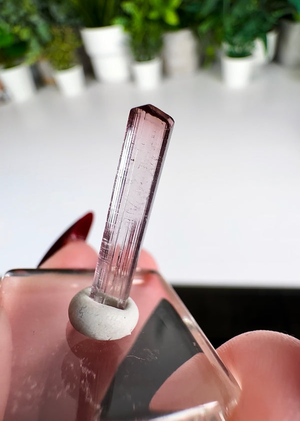 Pink Tourmaline Specimen from Paprok Mine