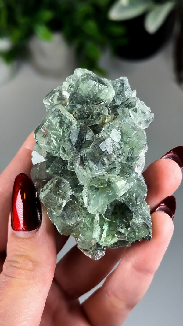 Glassy Green Fluorite with Beveled Edges from Xianghuapu Mine