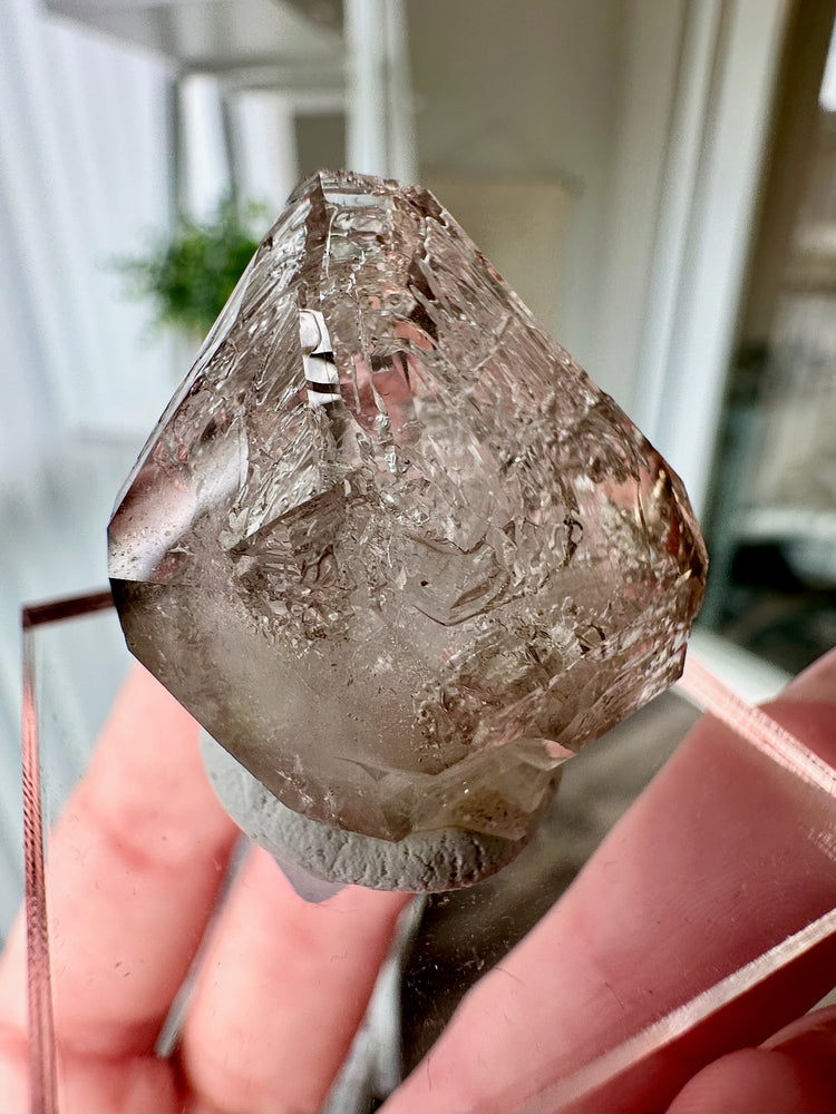 Smokey Fenster Quartz From Mt Goboboseb Namibia #2