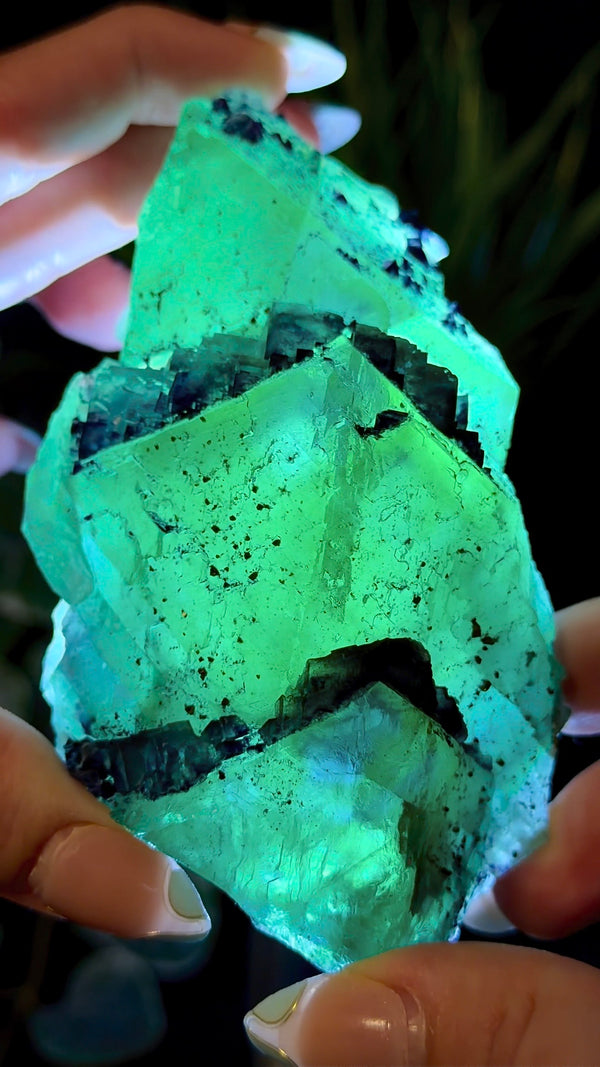 Octahedral Green, Purple & Blue Fluorite With Second Generation Purple Cubic Fluorite Crystallization and Pyrite Associations from Huaiyu Mountain, Shangrao City, Jiangxi Province, China