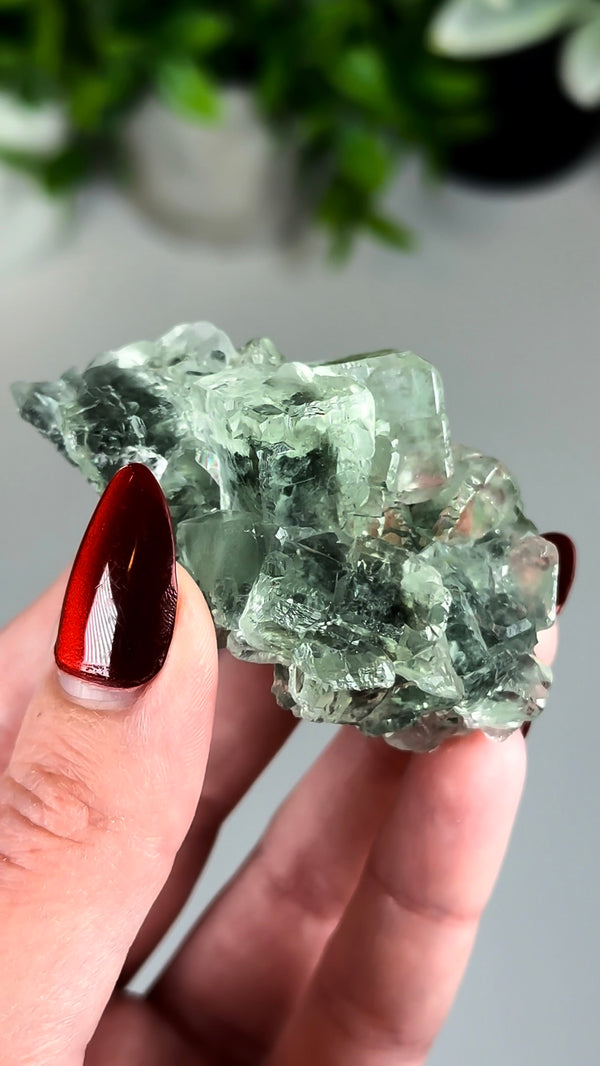Glassy Green Fluorite with Beveled Edges from Xianghuapu Mine