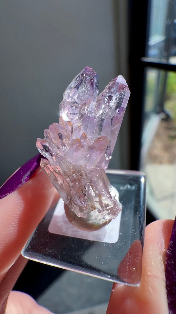 Amethyst "Flower" / "Starburst" with Sceptres & Reverse Sceptres from "La Troje" Mine in Veracruz, Mexico (New Find!)