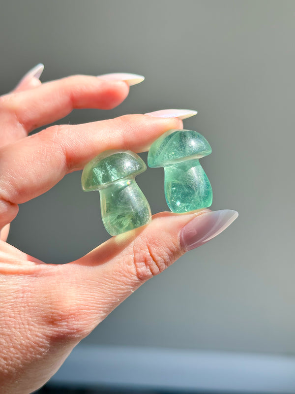 Fluorite Crystal Mushroom Carvings • Choose Your Color!