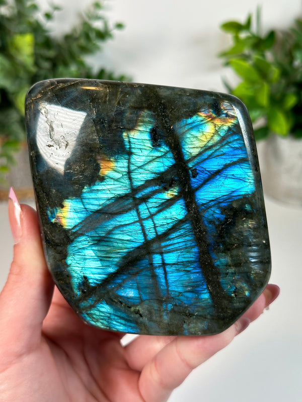 Labradorite Freeform From Madagascar