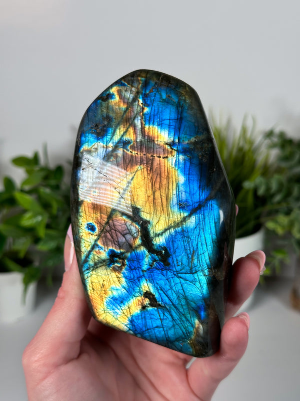 Labradorite Freeform From Madagascar