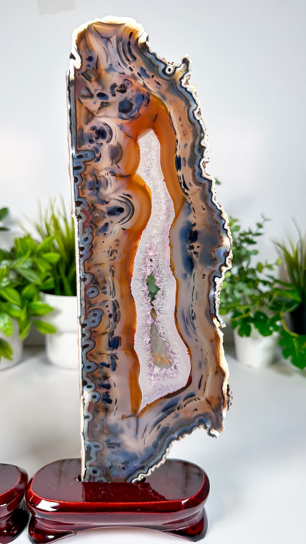 Agate Pair from Soledade, Rio Grande do Sul, Brazil • Top Quality Agate Display Slabs Set of 2 with Custom Wooden Stands