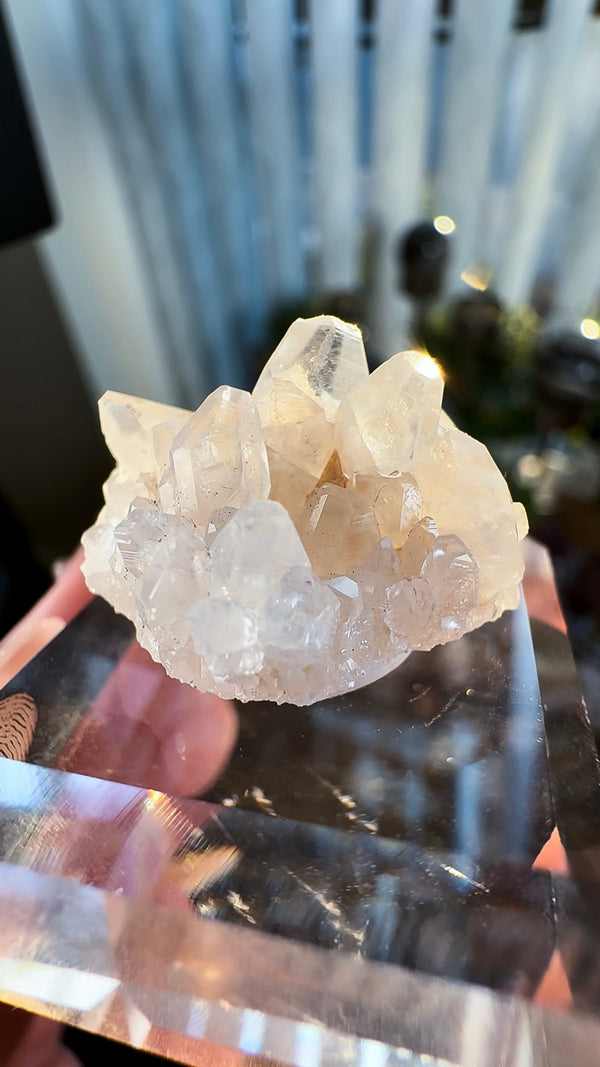 RARE "Pseudo-Scalenohedral" Calcite Specimen from N'Chwaning II Mine, Kalahari Manganese Fields, Northern Cape, South Africa
