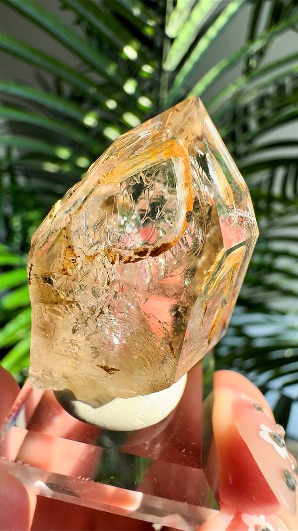 Enhydro Smokey Skeletal Fenster Quartz from Goboboseb Mountains, Brandberg Area, Erongo Region, Namibia