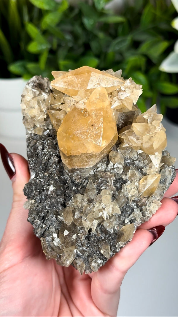Calcite - Pugh Quarry, Ohio, USA