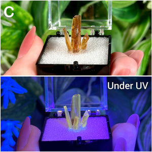 UV Reactive Amber Calcite Specimens  Raw Natural Fluorescent & Phosphorescent Amber Calcite Dogtooth Crystal Specimens  Choose Your Own!