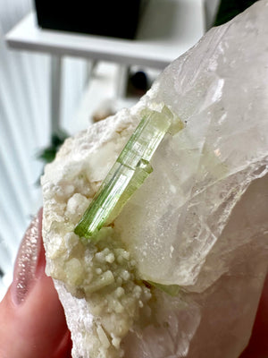 Green Tourmaline on Clear Quartz Specimen from Chappu Mine, Shigar Valley, Skardu District, Gilgit-Baltistan, Pakistan  103.1g