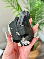 Black Tourmaline (Schorl) with Fluorescent Hyalite Opal from Erongo Mountain Region, Namibia  Lustrous Etched Black Tourmaline from Namibia