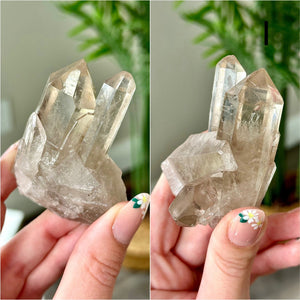 Smokey Quartz Clusters from Brazil  Choose Your Own High Quality Smokey Quartz Crystal Cluster from Novo Horizonte, Brazil