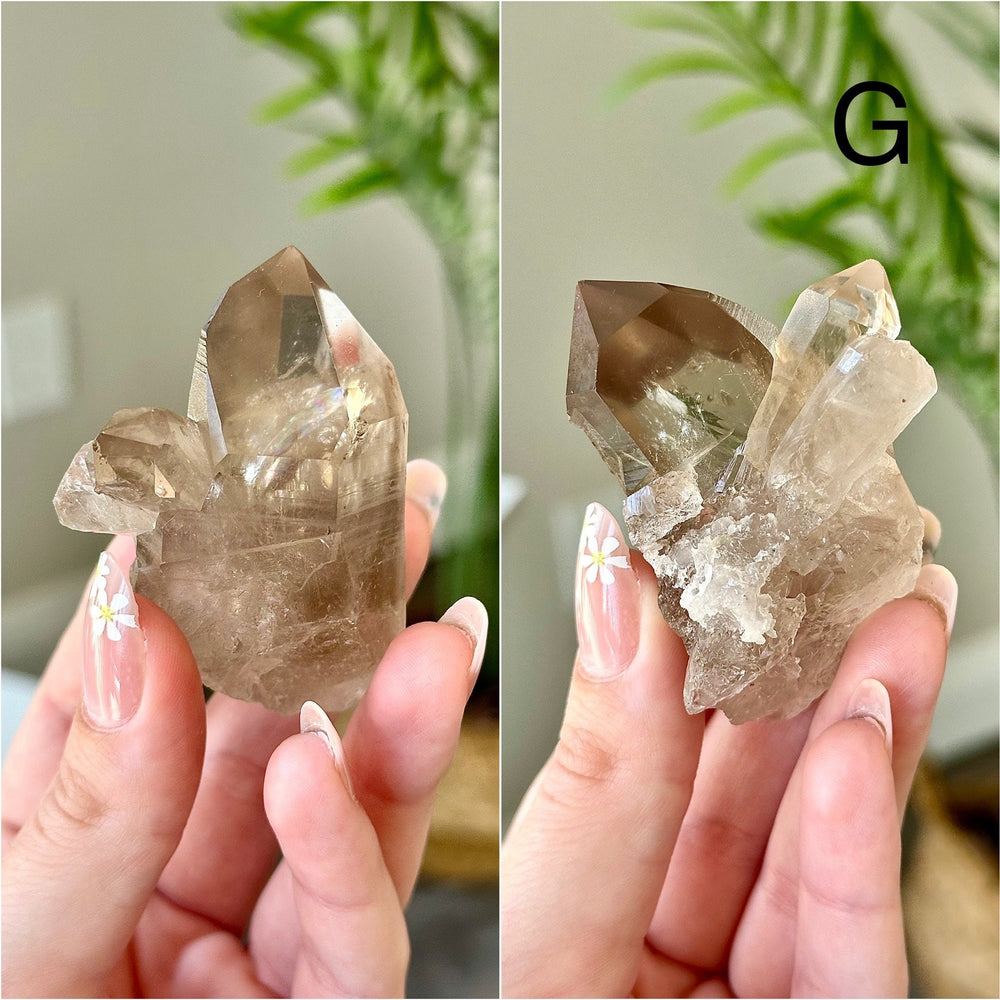 Smokey Quartz Clusters from Brazil  Choose Your Own High Quality Smokey Quartz Crystal Cluster from Novo Horizonte, Brazil