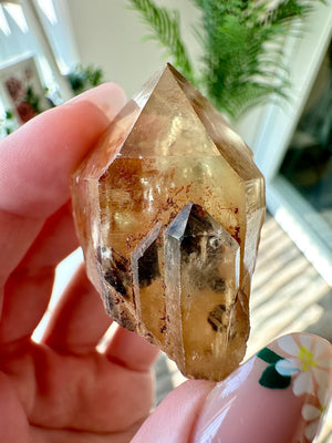 Raw Natural Kundalini Citrine Point from the Congo • ONE Intuitively Selected Kundalini Citrine Crystal Point Specimen • Congo Citrine