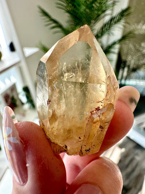 Raw Natural Kundalini Citrine Point from the Congo • ONE Intuitively Selected Kundalini Citrine Crystal Point Specimen • Congo Citrine