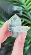 Blue Tara Quartz Specimen from Itacambira, Brazil