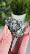 Black Diamond Apophyllite with Stilbite & Chlorite • Apophyllite, Stilbite, Chlorite & Black Chalcedony Crystal Specimen from India
