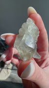 Calcite with Marcasite Inclusions from Linwood Mine, Buffalo, Scott County, Iowa, USA