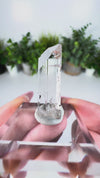 Gem Danburite Specimen from Aurora Mine, Charcas, San Luis Potosí, Mexico