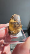 Calcite from North Vernon, Jennings County, Indiana, USA