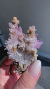 Amethyst "Flowers" with Sceptres, Reverse Sceptres & Calcite Associations on Matrix from "La Troje" Mine in Veracruz, Mexico (New Find!)