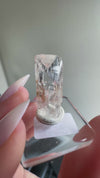 Gem Danburite Specimen from Aurora Mine, Charcas, San Luis Potosí, Mexico