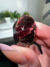 Rhodolite Garnet Freeform from India