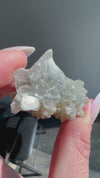 Calcite with Marcasite Inclusions from Linwood Mine, Buffalo, Scott County, Iowa, USA