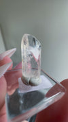 Gem Danburite Specimen from Aurora Mine, Charcas, San Luis Potosí, Mexico