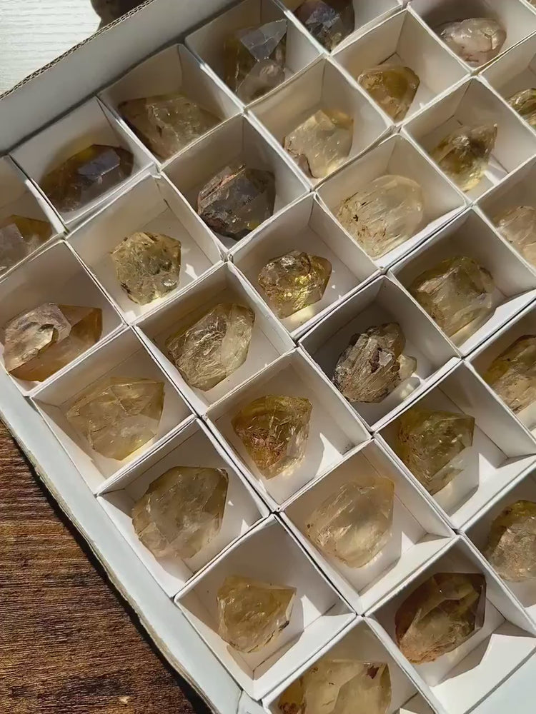 
            
                Load and play video in Gallery viewer, Raw Natural Kundalini Citrine Point from the Congo • ONE Intuitively Selected Kundalini Citrine Crystal Point Specimen • Congo Citrine
            
        