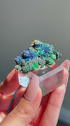 Azurite with Malachite Specimen from Spain - Rare Locale! • Old Stock (Mined in 2003)