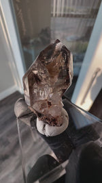 Smokey Fenster Quartz Scepter From Mt Goboboseb Namibia #6