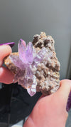 Amethyst "Flowers" with Sceptres, Reverse Sceptres & Calcite Associations on Matrix from "La Troje" Mine in Veracruz, Mexico (New Find!)