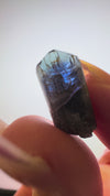 Unheated Pleochroic Tanzanite - Meralani Hills, Tanzania | 16 Carats